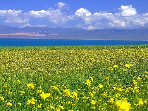 旖旎風(fēng)光 大美青海