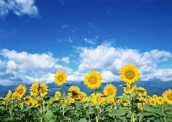 用責(zé)任點(diǎn)燃青春，以擔(dān)當(dāng)成就事業(yè)