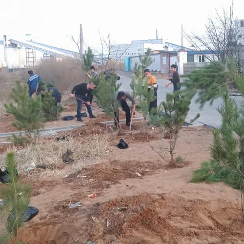 洗選煤運(yùn)營(yíng)公司洗煤廠： 開(kāi)展“植樹(shù)造林美化家園”活動(dòng)