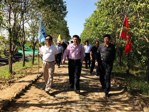 陜西省總工會(huì)黨組書記、主席白阿瑩一行蒞臨鄠邑區(qū)調(diào)研考察草堂寺健康養(yǎng)老示范項(xiàng)目