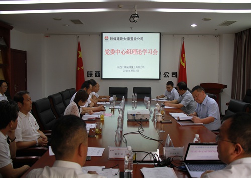 寧興剛旁聽督導(dǎo)大秦置業(yè)公司黨委中心組理論學習
