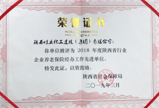 陜煤建設(shè)榮獲省級養(yǎng)老保險(xiǎn)經(jīng)辦工作先進(jìn)單位
