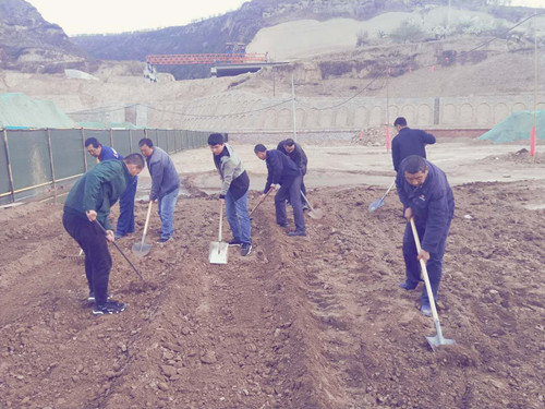 陜煤建設天工公司土建三部不負時光“務農(nóng)” 豐富員工餐桌