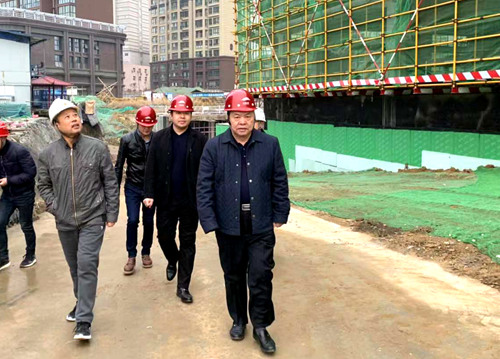 寧興剛深入大秦置業(yè)公司龍灣水境項目檢查指導工作