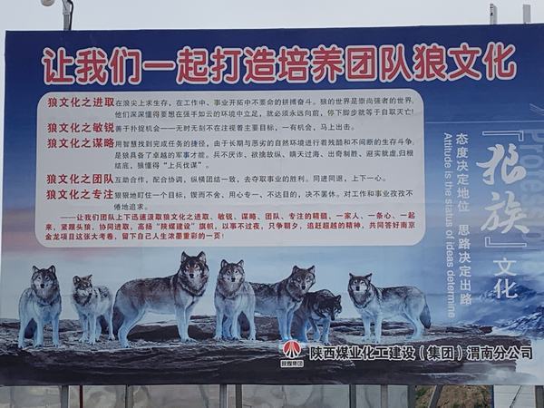 陜煤建設(shè)渭南分公司南京金龍項目部強堡壘 助發(fā)展