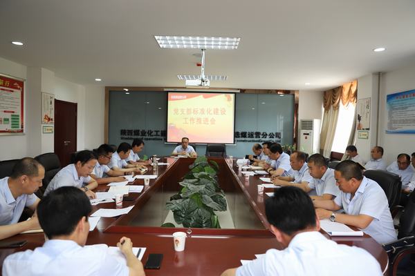 陜煤建設(shè)洗選煤運營公司全面推進基層黨支部標準化建設(shè)工作