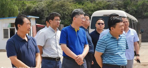 湖北省能源局副局長揭建平蒞臨路橋分公司黃陵店頭電廠項目施工現(xiàn)場