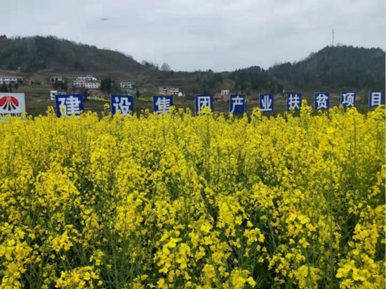 公司領導寧興剛、侯本英到扶貧定點幫扶村看望慰問困難群眾