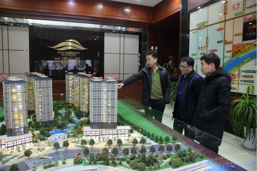 公司領導王明智、楊讓順深入龍灣水境項目視察指導工作