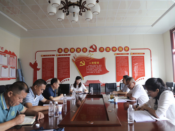 陜煤建設(shè)機電安裝公司召開黨支部標(biāo)準(zhǔn)化建設(shè)督導(dǎo)推進會