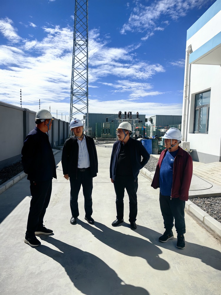 劉保江一行深入天工公司青海西臺(tái)秦川光伏電站檢查指導(dǎo)工作