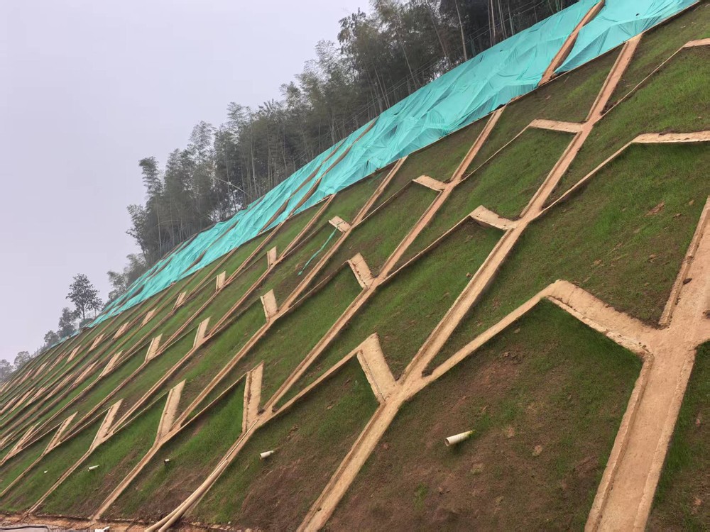 陜煤建設(shè)西北分公司：邊坡披綠衣，防護顯匠心