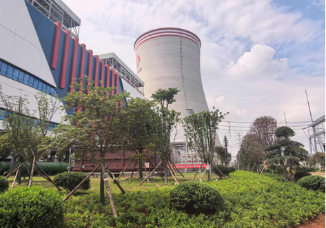 陜煤建設(shè)西北分公司：綠意盎然入電廠，生態(tài)建設(shè)譜新章