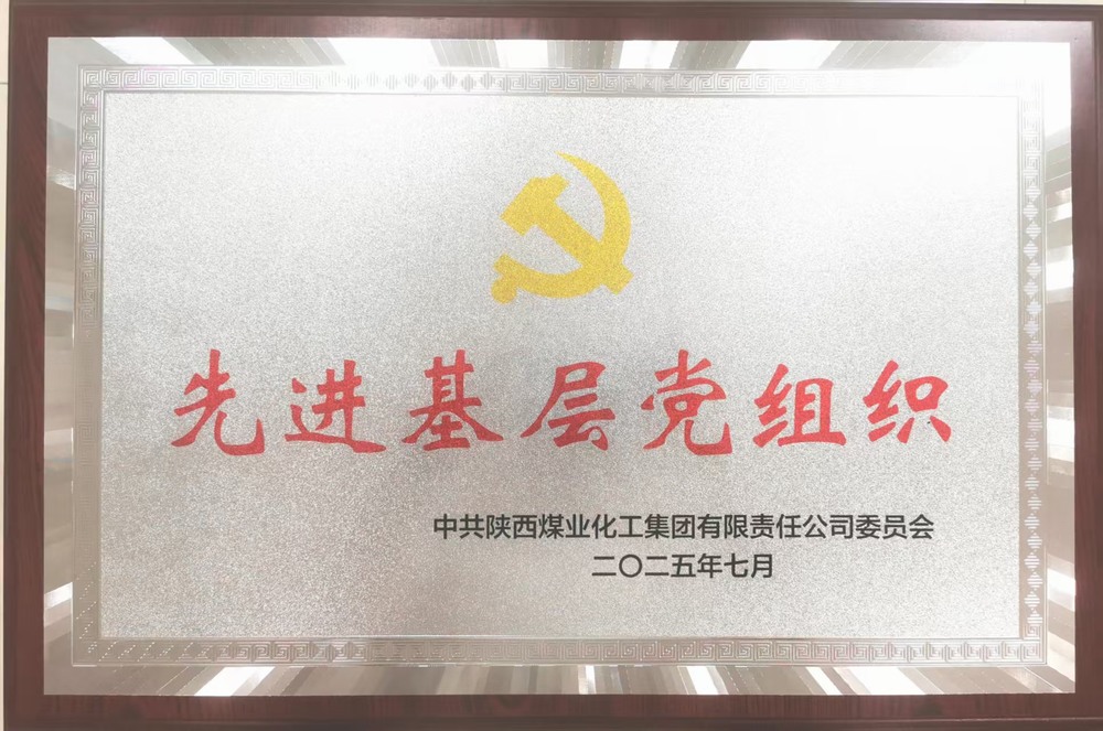 陜煤建設(shè)銅煤公司黨委“黨建+”賦能高質(zhì)量發(fā)展獲殊榮