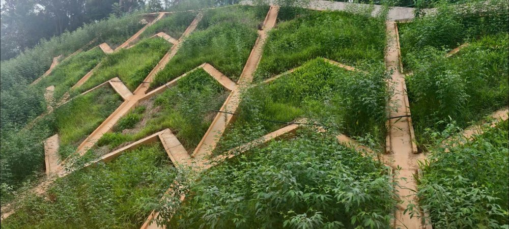 陜煤建設(shè)西北分公司：長(zhǎng)安益陽(yáng)發(fā)電有限公司2×100萬(wàn)千瓦擴(kuò)能升級(jí)改造項(xiàng)目 高邊坡支護(hù)工程順利通過(guò)竣工驗(yàn)收