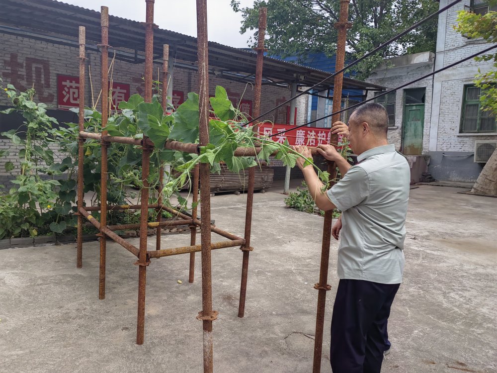 平凡堅守，織就的那些暖心緣