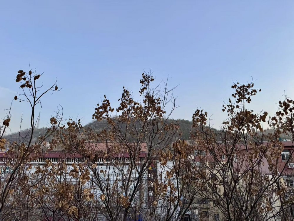 秋意漸濃時(shí)，回望來(lái)時(shí)路