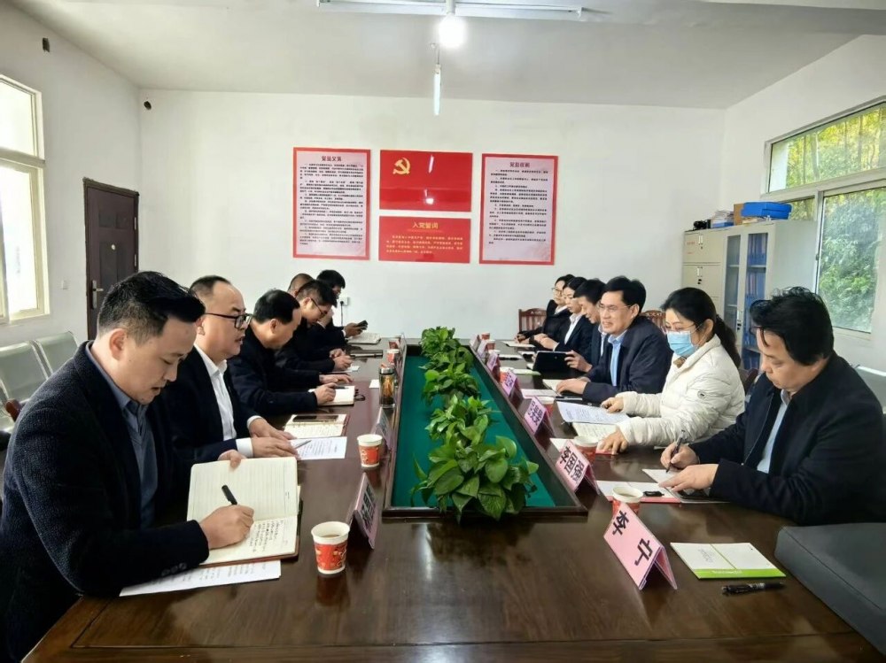 司正林深入定點幫扶村調(diào)研督導(dǎo)鄉(xiāng)村振興工作