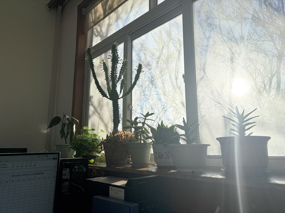 冬陽(yáng)正好，步履鏗鏘