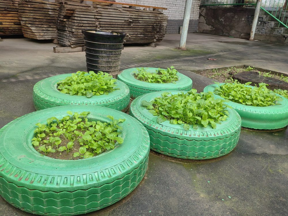 創(chuàng)意無休，廢舊輪胎也能C位出道