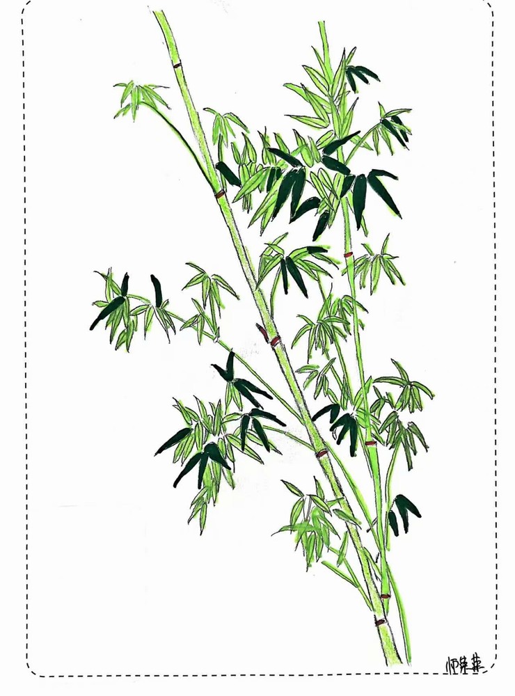 漫說廉潔！這組“草木廉盟”太可了