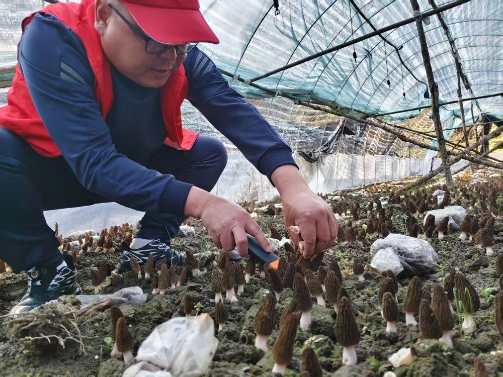 陜煤建設煤礦運營服務分公司：駐村干部顯擔當 宣傳賦能促振興