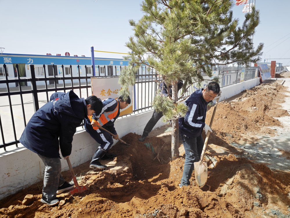 陜煤建設(shè)礦建三公司:植綠潤人心 聚力促實干